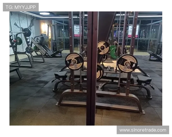 运动赋能生活探索健康与活力的无限可能性