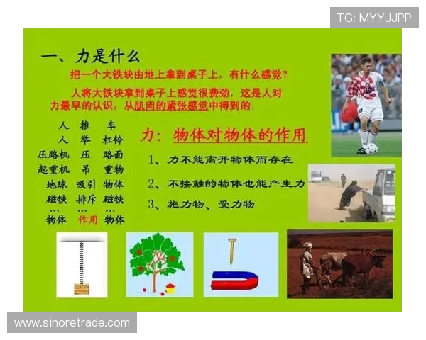 全面解析体育运动对身心健康的积极影响及其在现代社会中的重要作用