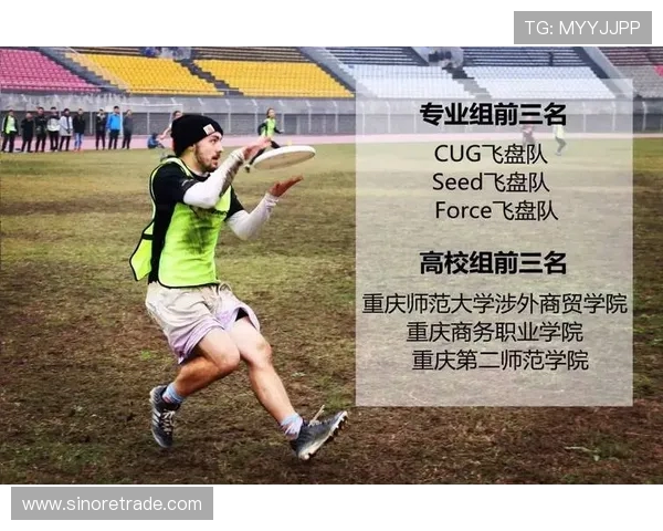 北京飞盘队团队协作表现的深入数据分析与探讨