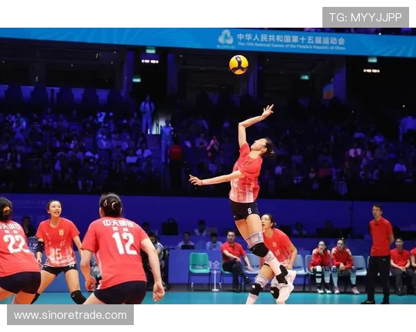 南京排球队个人能力引发热议球迷观点各异争论不断