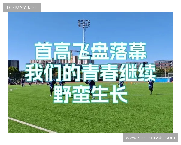 武汉飞盘队的崛起之路极限运动联赛中的奋斗与荣耀